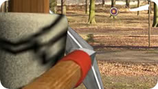 Robin hood advanture