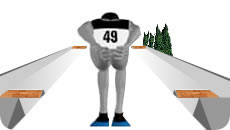 Smučarski skoki 2001